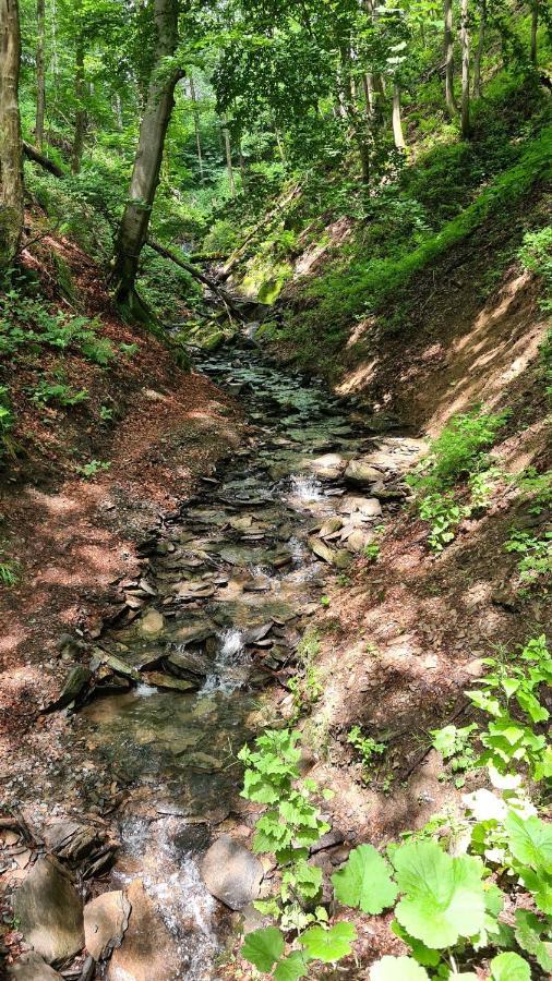 Vakantiehuisje Winterberg Dış mekan fotoğraf