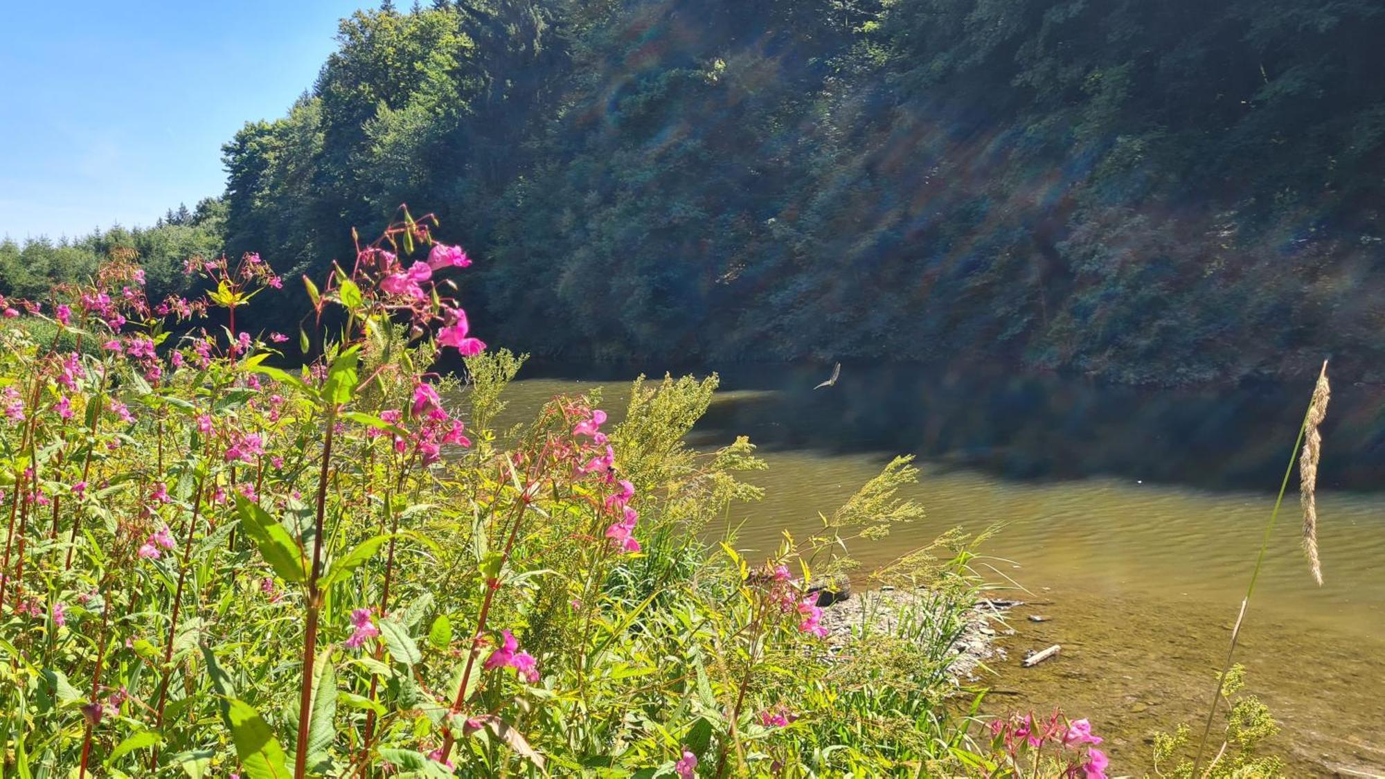 Vakantiehuisje Winterberg Oda fotoğraf