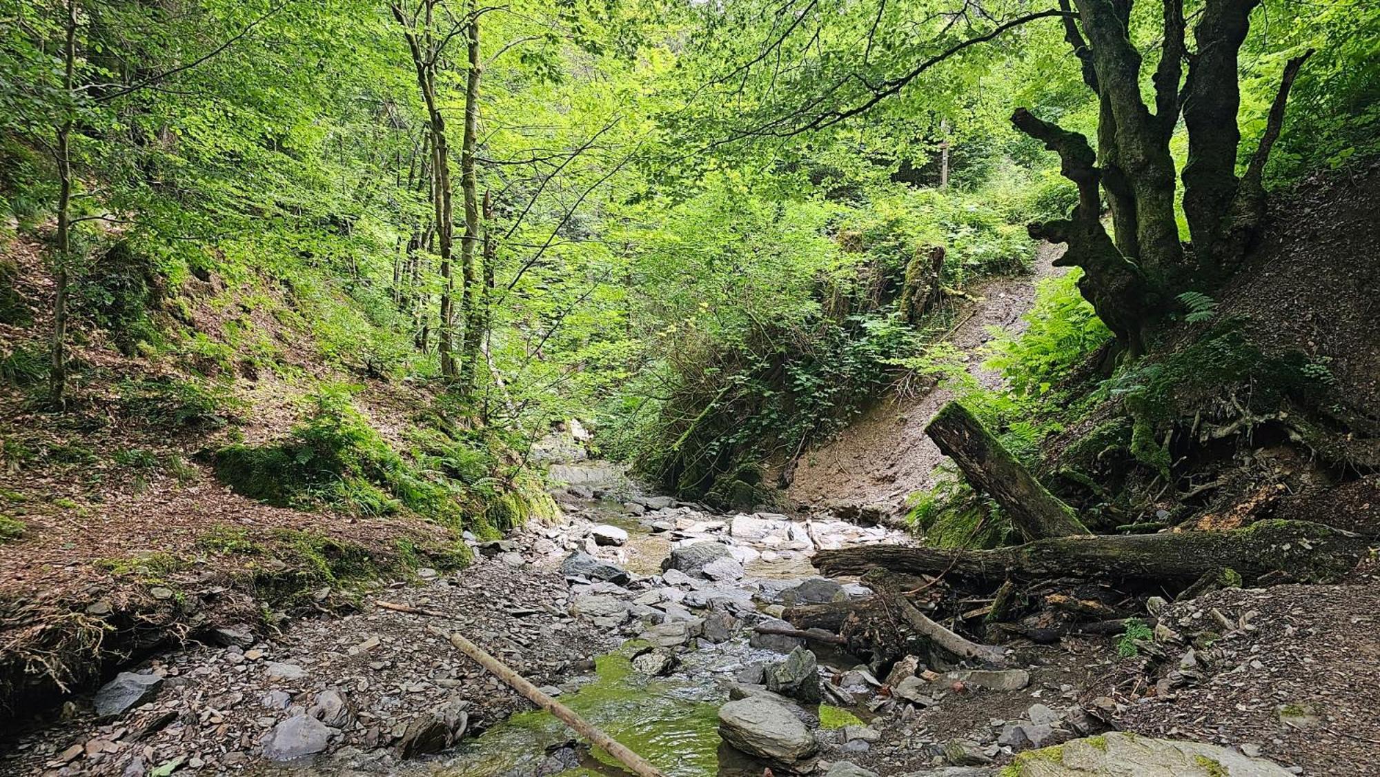 Vakantiehuisje Winterberg Dış mekan fotoğraf