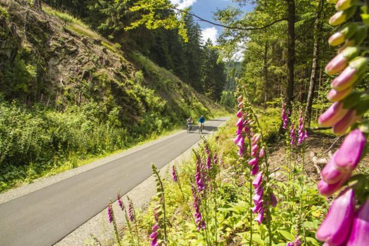 Vakantiehuisje Winterberg Dış mekan fotoğraf